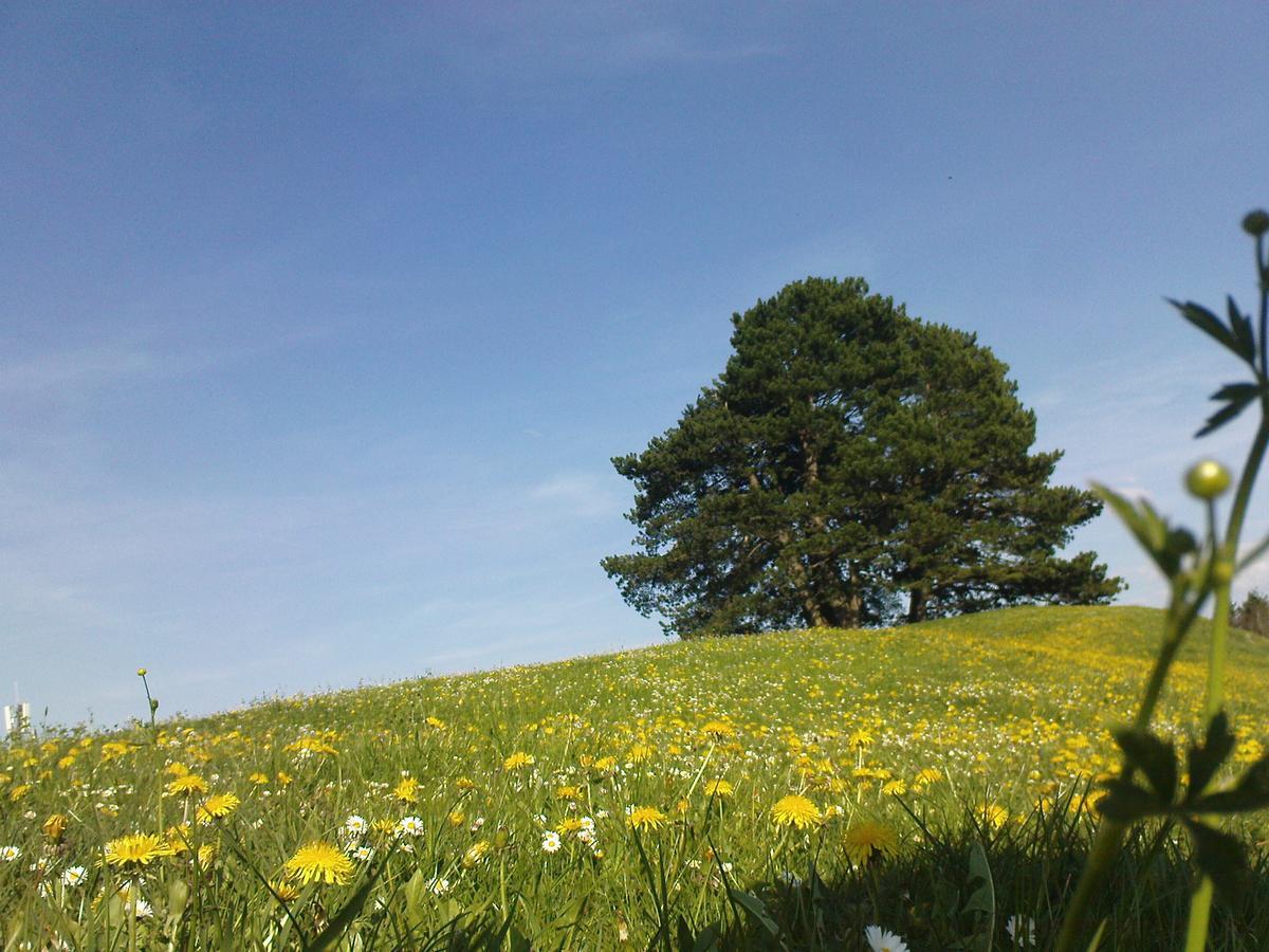 Gasthaus Roessli Mogelsberg Bagian luar foto